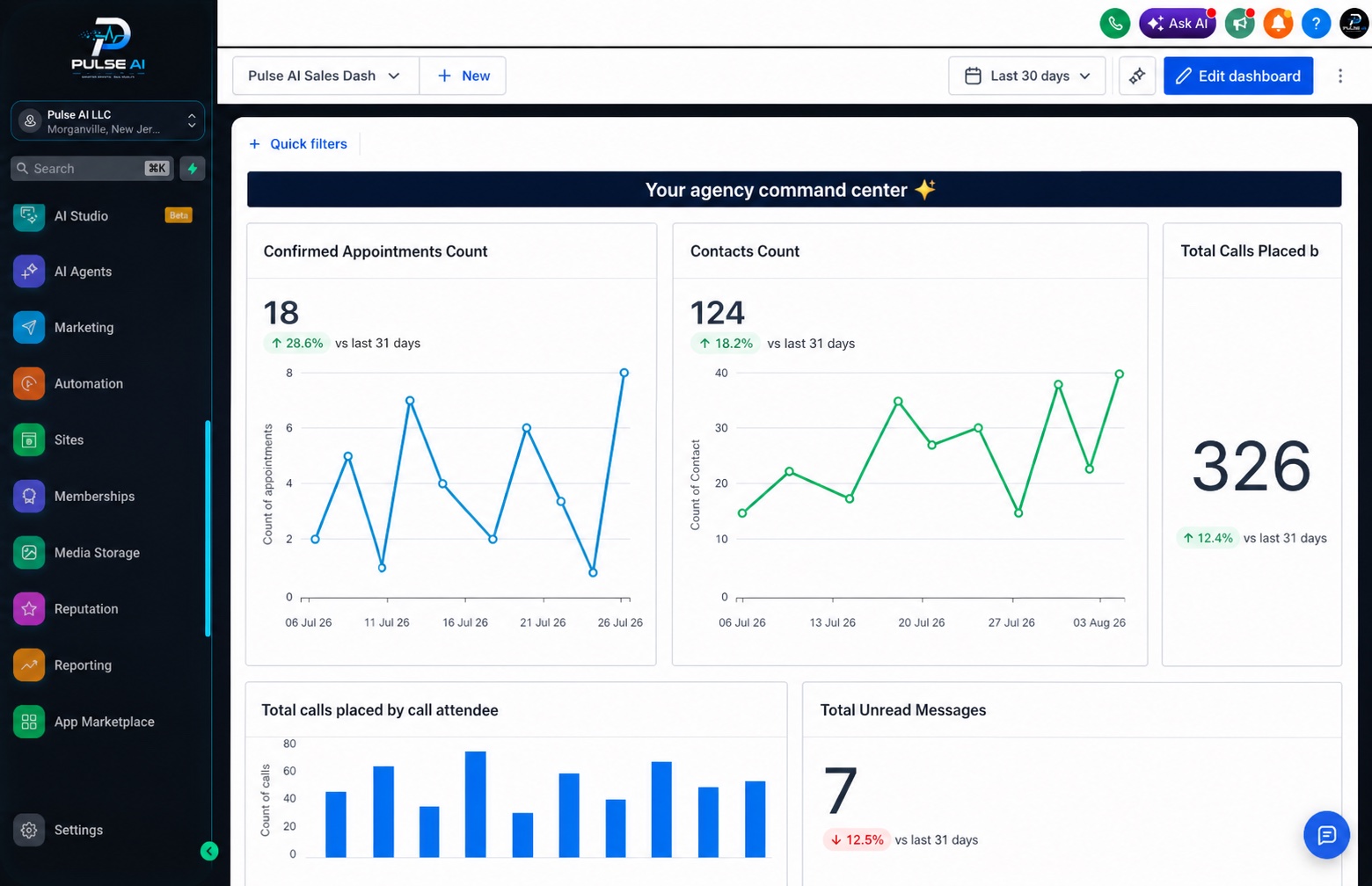Pulse AI agency dashboard with fictional sample data